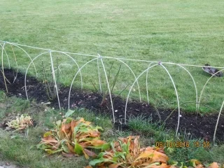 ДЛЯ ПОМИДОР Арматура, 8 диаметр бухта 50 метров стоит 546гр- фото № 4