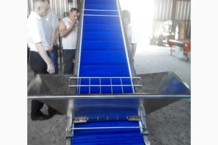 Конвейер из нержавеющей стали для ягод- фото № 2