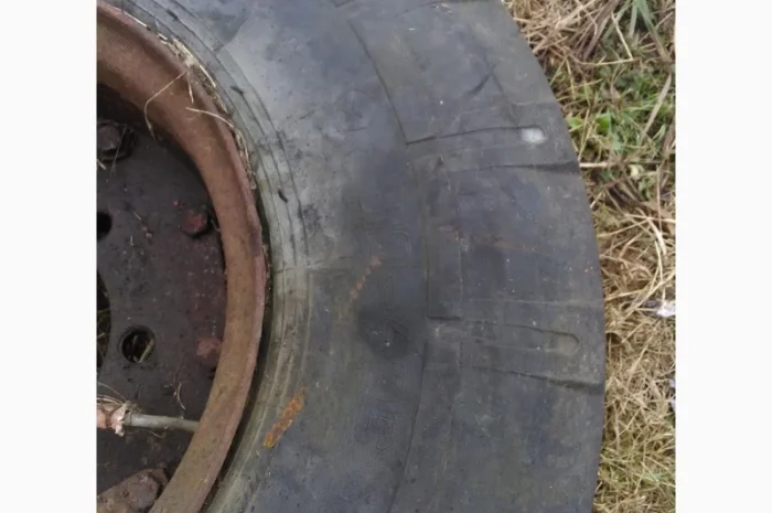 Диск колісний- фото № 1