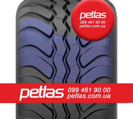 Агро сільгосп шини 440/65 R24 PETLAS TA 110 (С/Х) 138/135- фото № 16