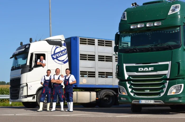 Пропонуються поросята вагою 20-26 кг- фото № 4