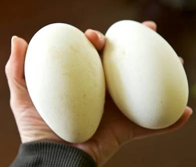 Гусиные яйца- фото № 2