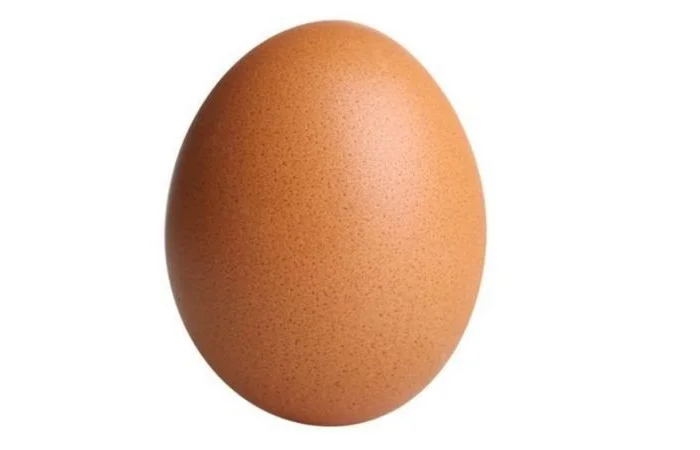 Срочно продам яйцо от производителя с 20 тонн в Украине- фото № 1