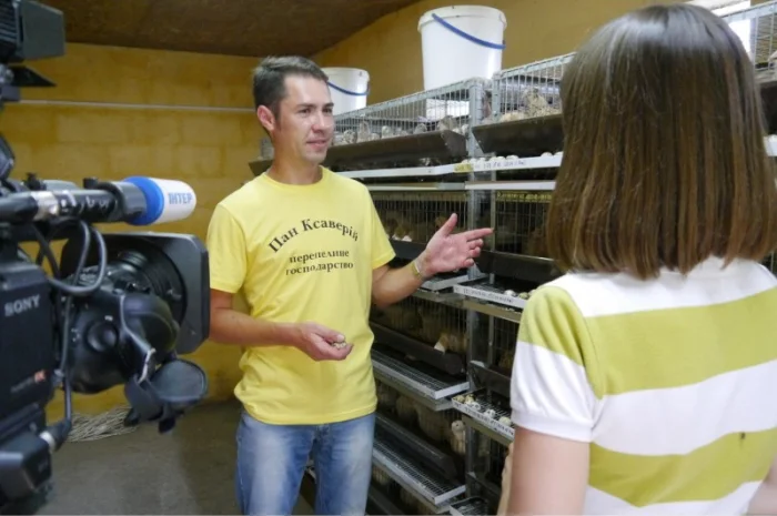 Продам інкубаційні перепелині яйця- фото № 4