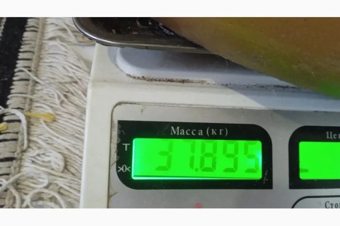 Продаю віск — 260 грн- фото № 2