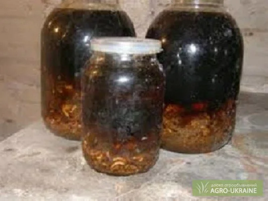 20% экстракт восковой моли- фото № 2