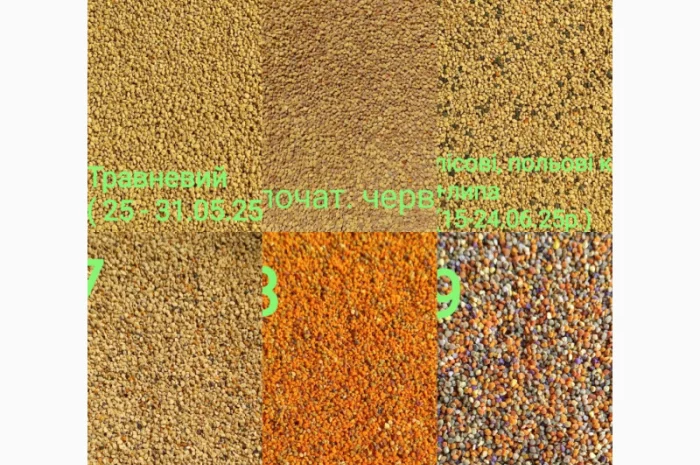 Продается цветочный пилок 2025 года – 350 грн/кг- фото № 7