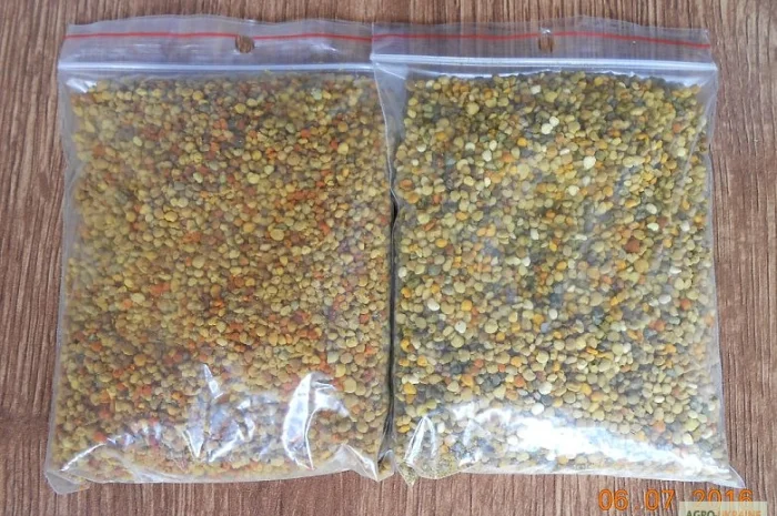 Пилок квітковий натуральний- фото № 1