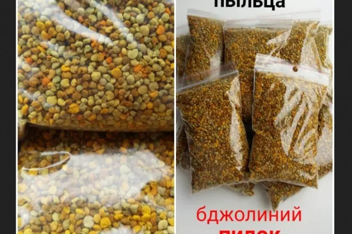 Пилок квітковий з власної пасіки- фото № 1