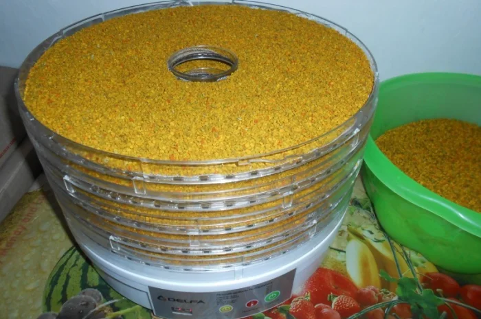 Квітковий пилок / бджолина обножка / пыльца- фото № 1