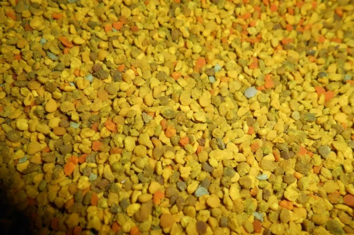 Квітковий пилок / бджолина обножка / пыльца- фото № 3