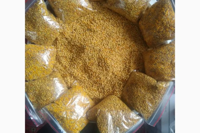 Продам бджолиний пилок- фото № 1