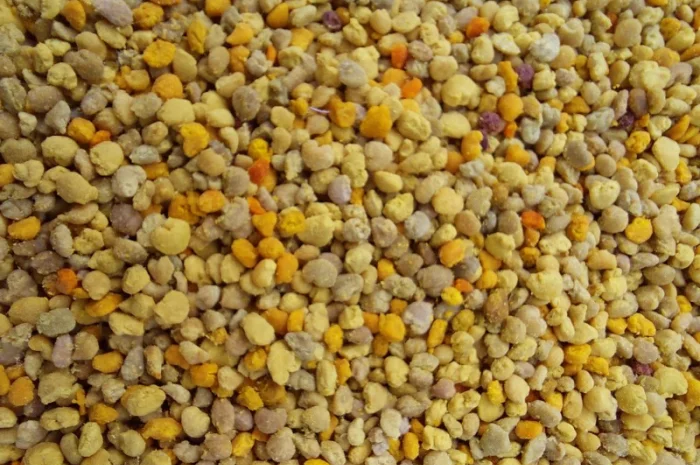 Продам пыльцу 2024 года- фото № 1