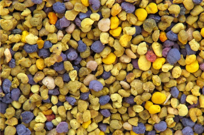 Пыльца 2024 года- фото № 1