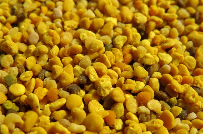 Пыльца 2024 года- фото № 2