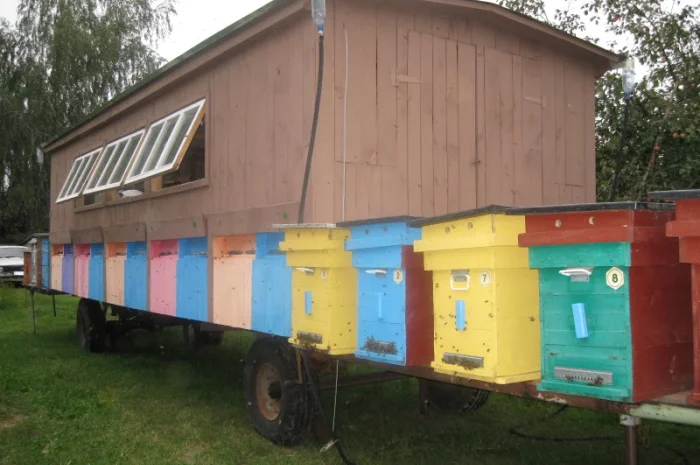 Продаю бджолиний пилок 2024 року- фото № 1