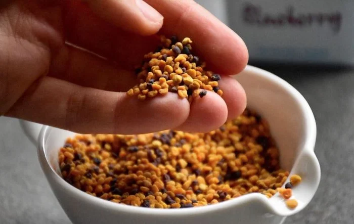 Квітковий пилок (пыльца)- фото № 1