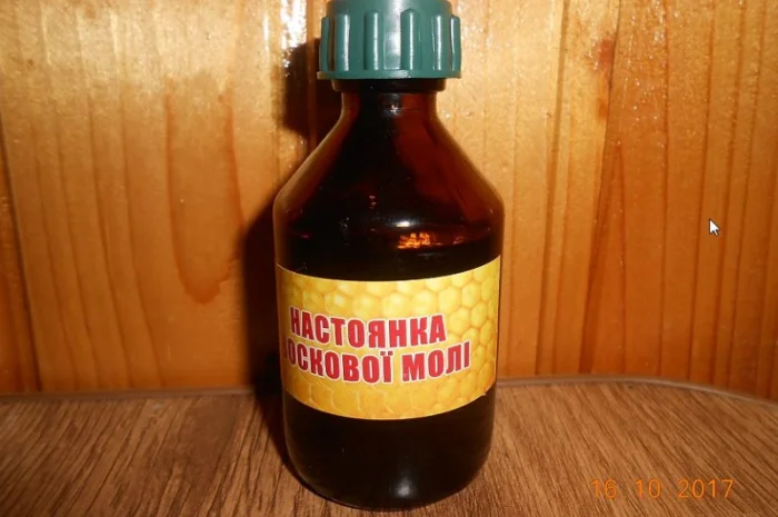 Настоянка воскової молі- фото № 1