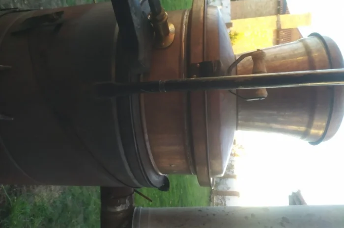 Прополіс, Пилок, Воскова Міль, Бджолиний Підмор, ПЖВМ- фото № 5