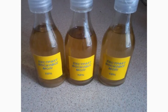 Воскова міль- фото № 1