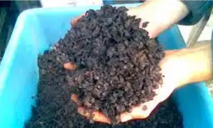 Куплю мерву- фото № 1