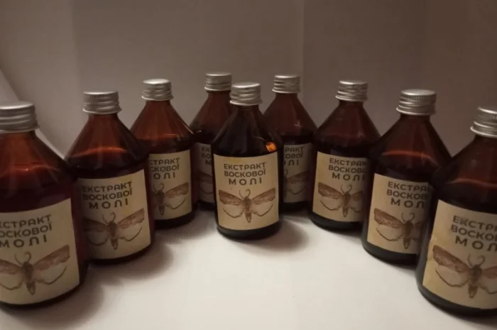 Настоянка воскової молі- фото № 1