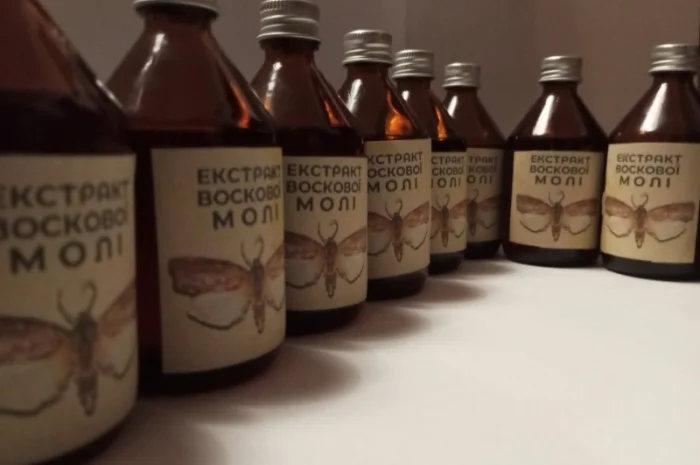 Настоянка воскової молі- фото № 10