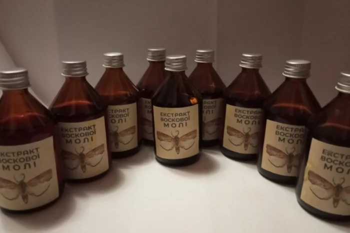 Настоянка воскової молі- фото № 2