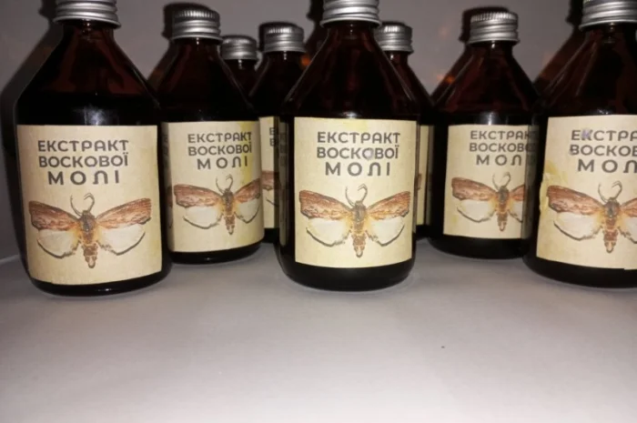 Настоянка воскової молі- фото № 3