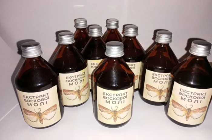 Настоянка воскової молі- фото № 4