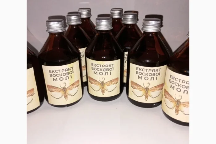 Настоянка воскової молі- фото № 5