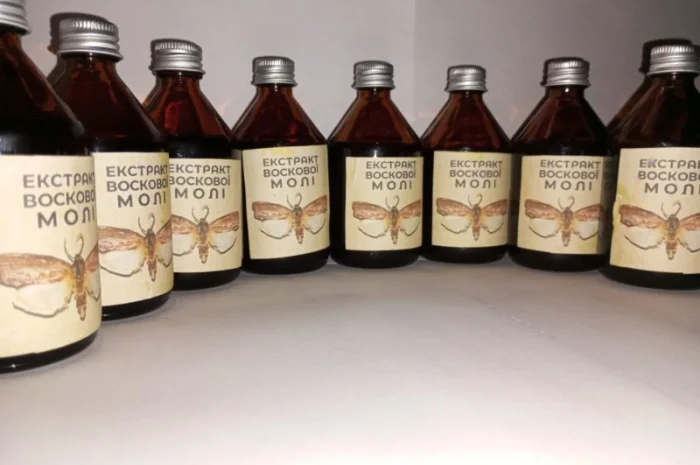 Настоянка воскової молі- фото № 6