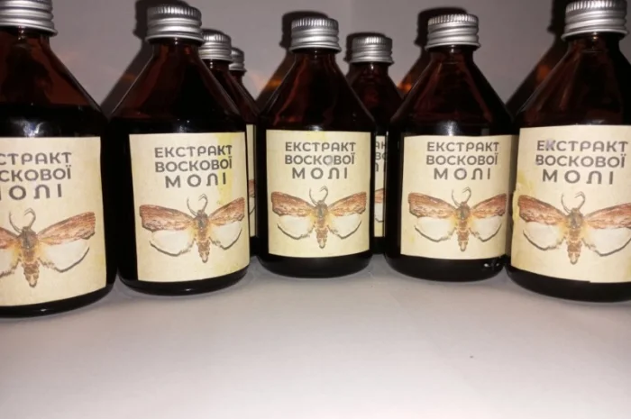 Настоянка воскової молі- фото № 7