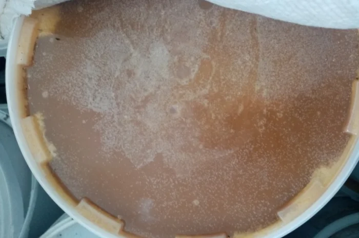 Продам мед, пилок, пергу, сотовий мед- фото № 1