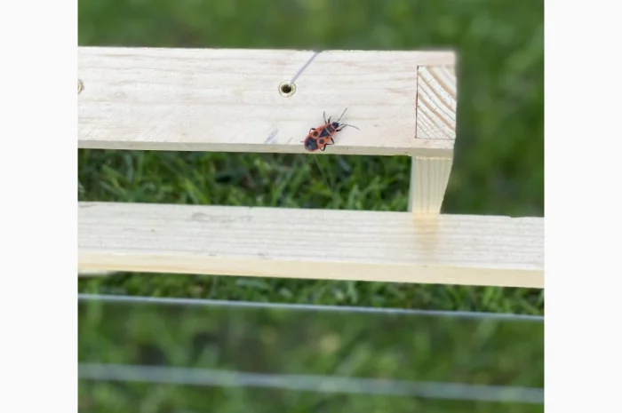 Рамки для ульев — еврорамки с отверстиями из сосны- фото № 2