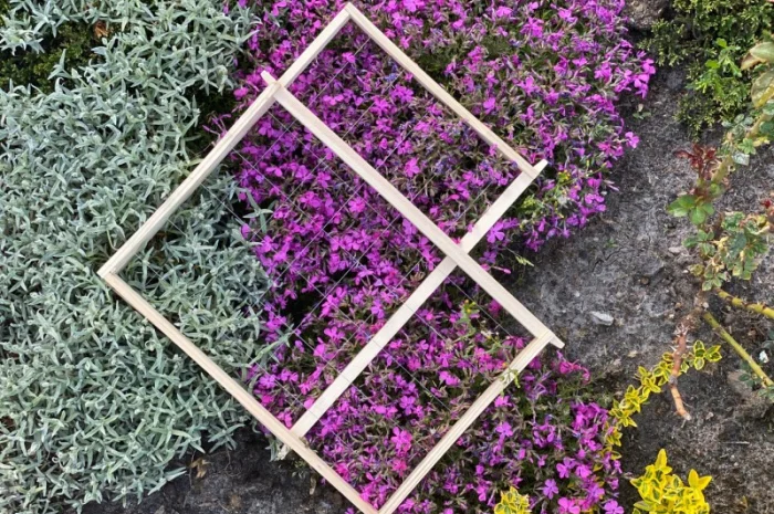 Рамки для вуликів від виробника – Дадан, Рута, напіврамка- фото № 1