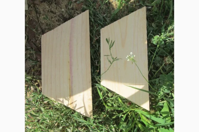 Лежаки на 20, 22 и 24 рамки Дадан из сосны- фото № 6