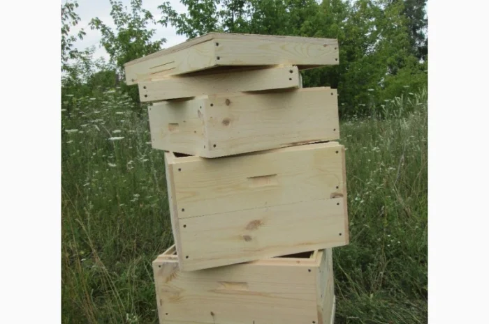 Вулик, улики, улья для бджіл- фото № 2