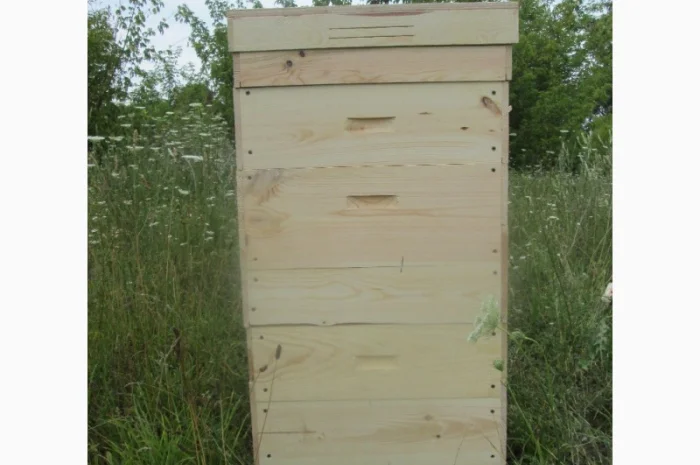 Вулик, улики, улья для бджіл- фото № 4