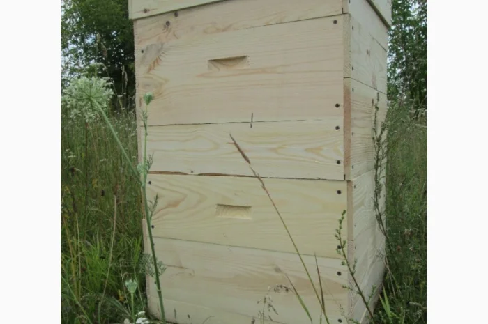Продажа ульев из сосны- фото № 5