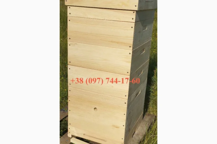 Вулики Рута та Дадан (10 і 12 рамок) — клеєні в шпунт на водостійкому клеї- фото № 1