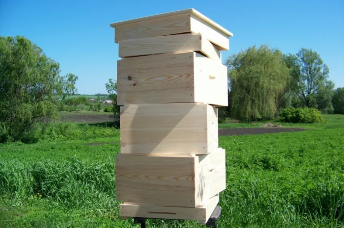 Вулики під замовлення з якісної сосни- фото № 7