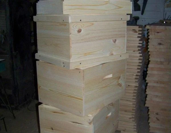 Вулики під замовлення з якісної сосни- фото № 1