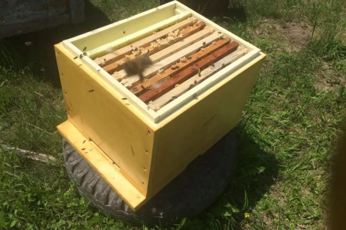 Вулики з ППУ для бджільництва – Дадан, Рута, Магазин- фото № 1