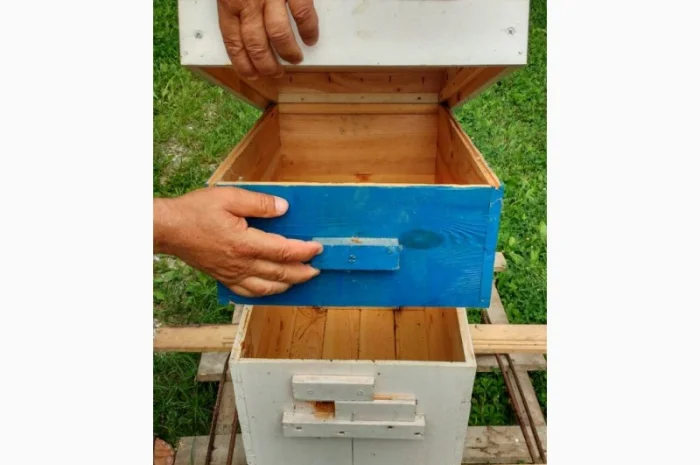 Продам нові 8-рамкові полегшені вулики «Інтелігент» з магазином на 145 та перегородкою- фото № 1