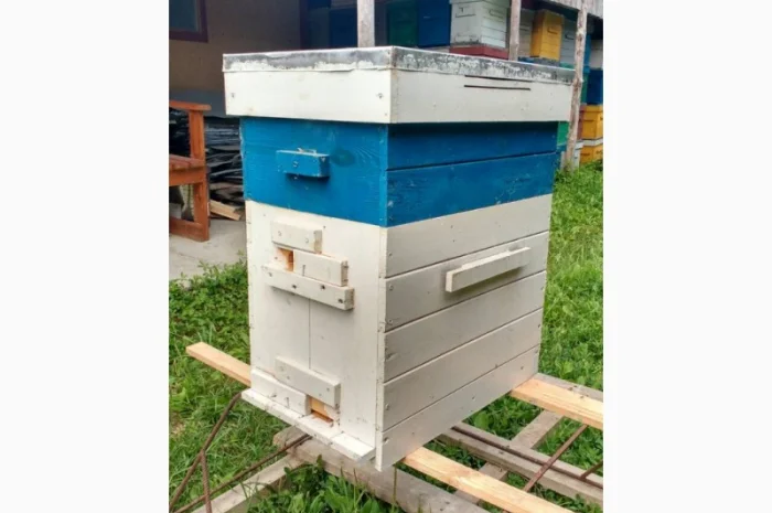 Продам нові 8-рамкові полегшені вулики «Інтелігент» з магазином на 145 та перегородкою- фото № 2