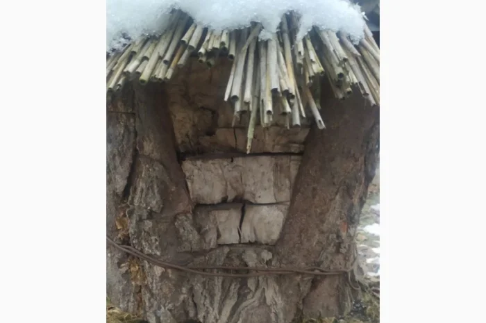 Вулик на 12 рамок – власне виробництво, продаж- фото № 2