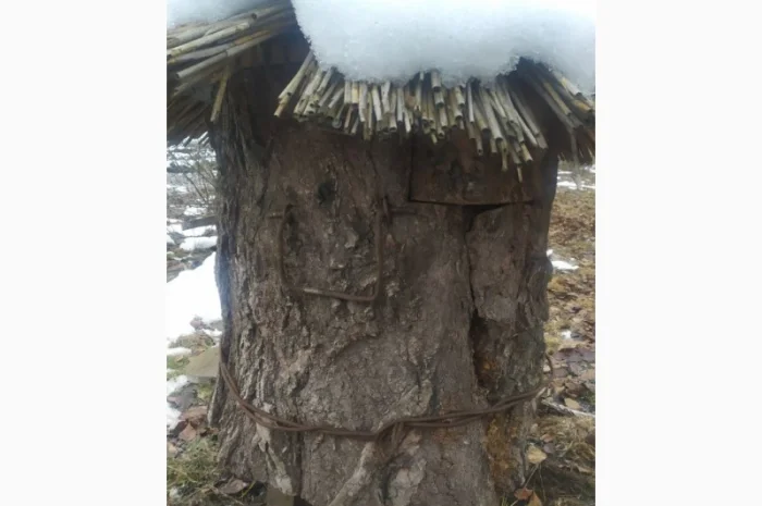 Вулик на 12 рамок – власне виробництво, продаж- фото № 3