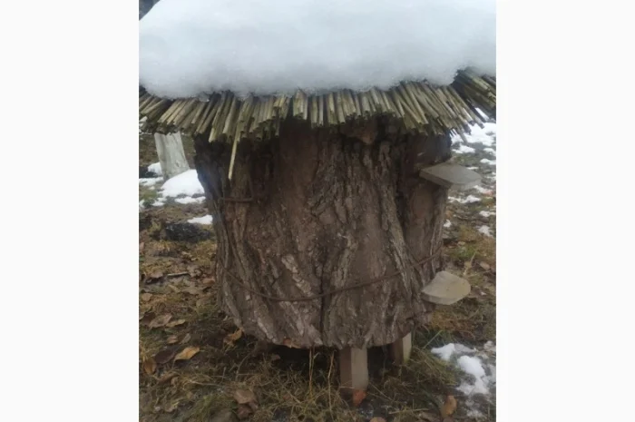 Вулик на 12 рамок – власне виробництво, продаж- фото № 4