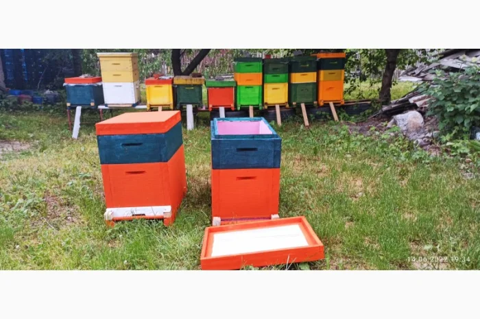 Вулик Дадан ППУ на 8 рамок з дном, магазином та дахом- фото № 4